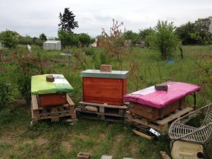 Bienenstand IKG - Umbau ist fertig