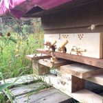 Runde Fluglöcher an der Bienenkiste