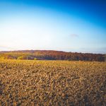 Acker herbstlich