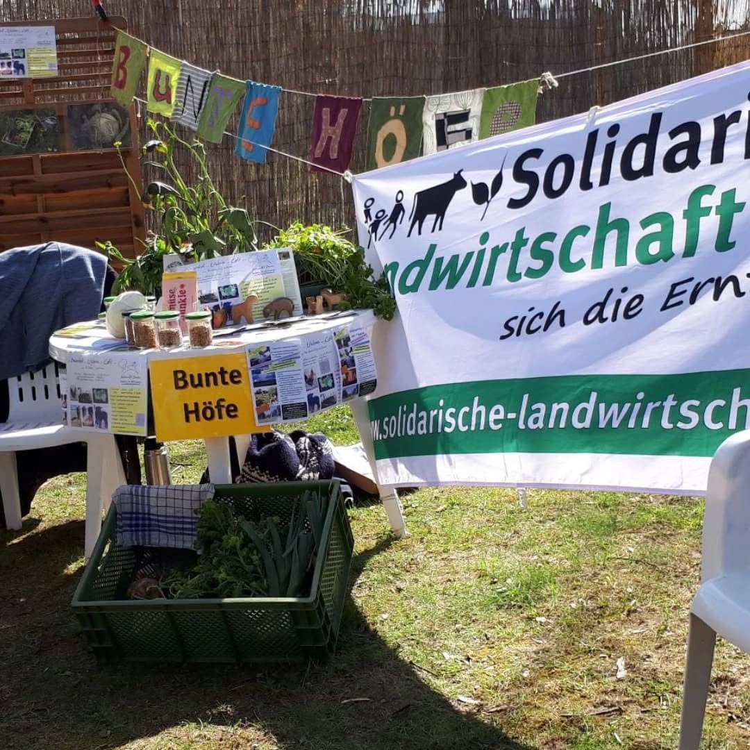 Klimaaktionstag in Rostock